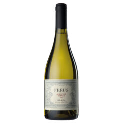 Ferus Blanc de Blancs